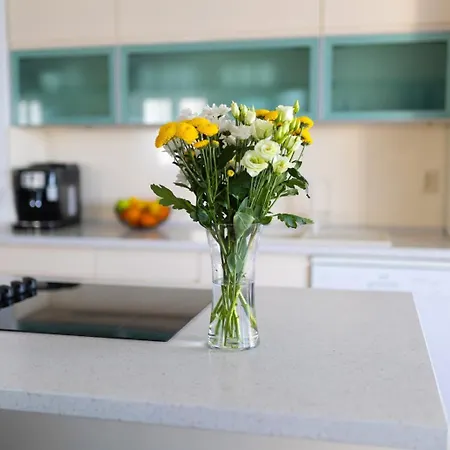 Luxury Strana Apartment *
