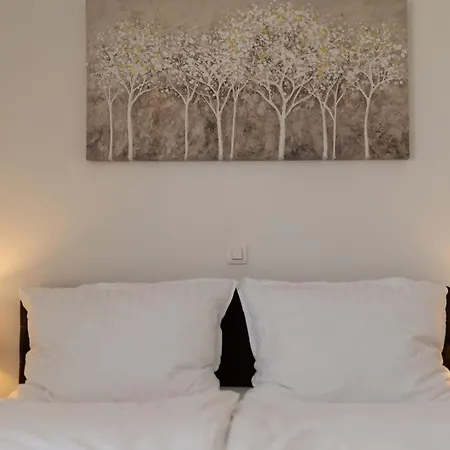 Luxury Strana Apartment *